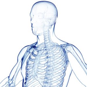 Costillas flexibles liberan las articulaciones de las caderas